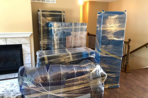 Professional movers and packers Dubai?